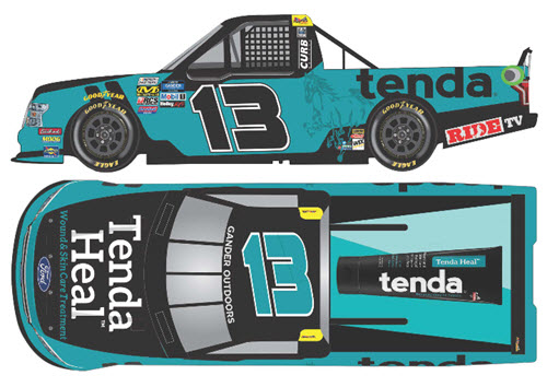 2019 Johnny Sauter NASCAR Diecast 13 Tenda Heal Truck 1:64 Lionel Action ARC 99